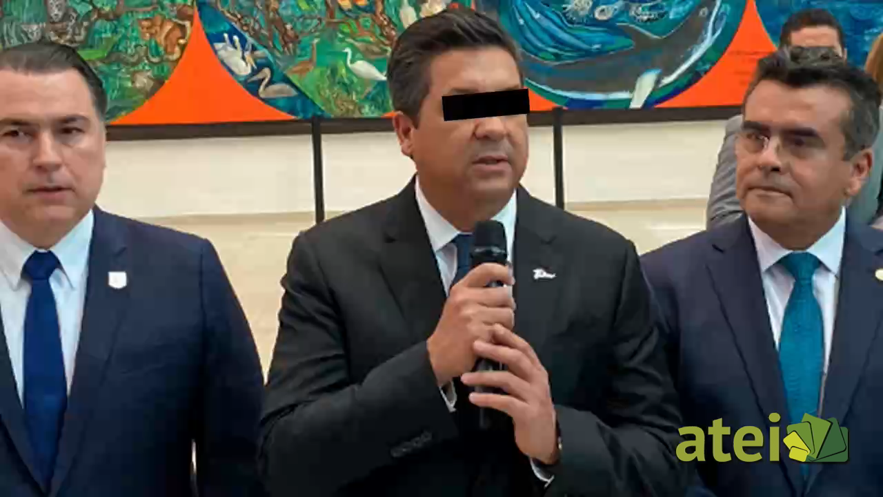 Cabeza de vaca B3