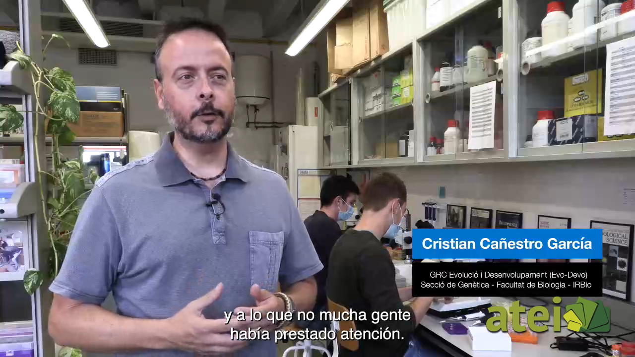 Asuntos del corazón: una investigación exclusiva de la UB, portada en la revista 