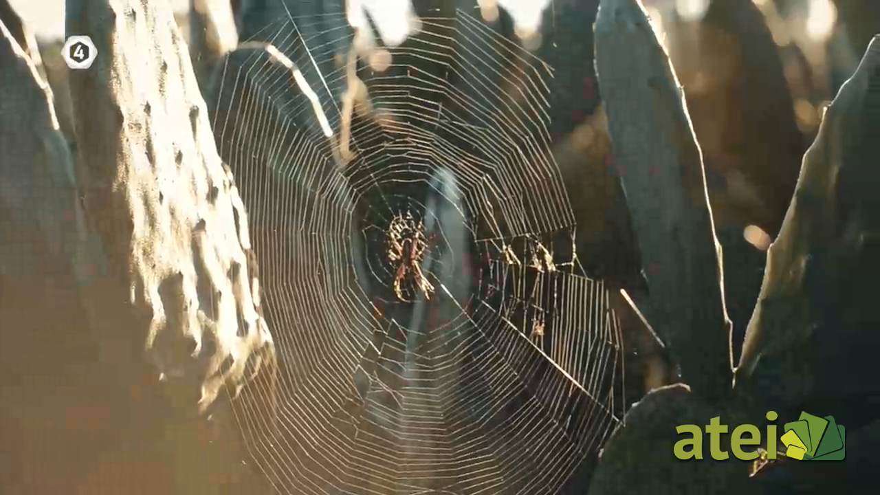 CAP 6 SALAMANCA BLOQUE 02