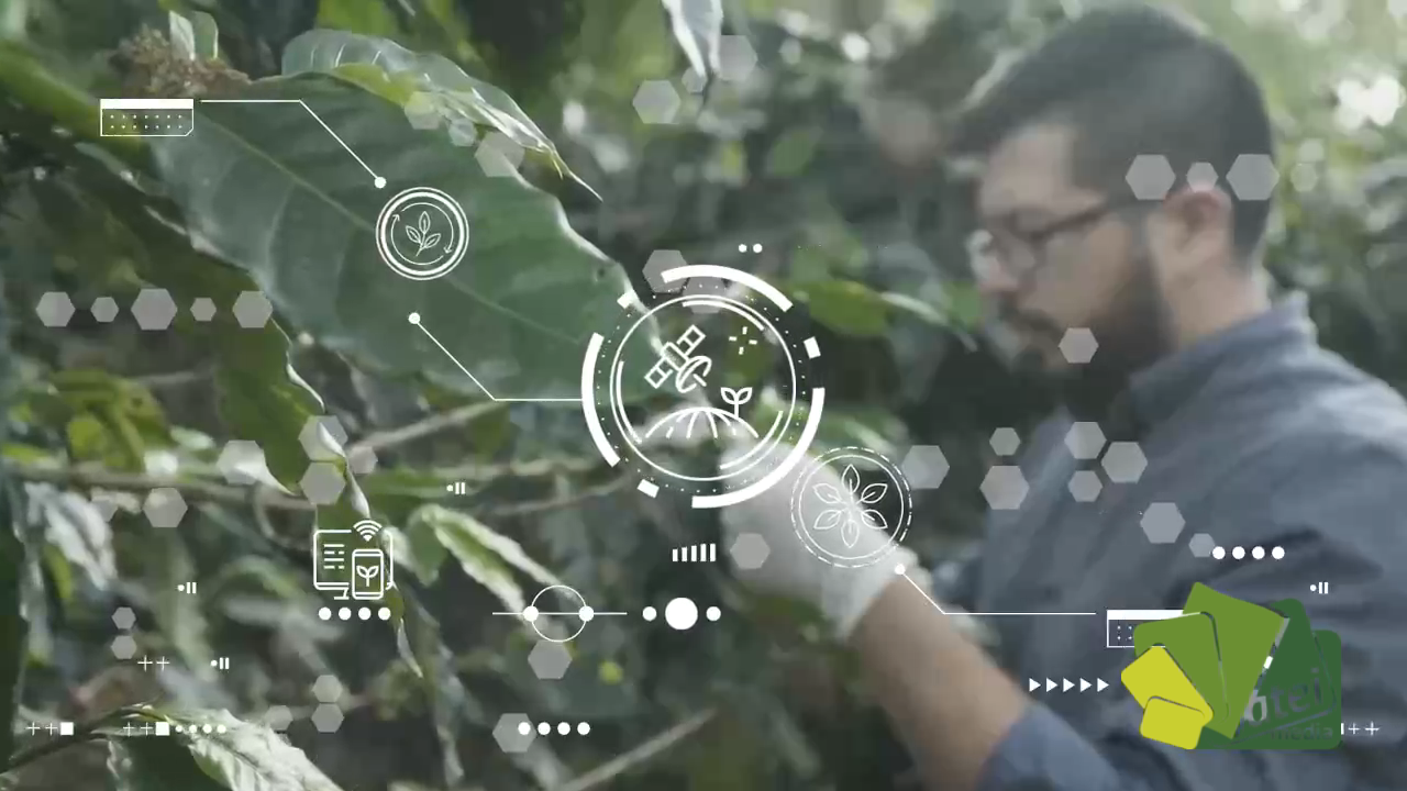 LOSSABERESDELCAMPO_CAP4