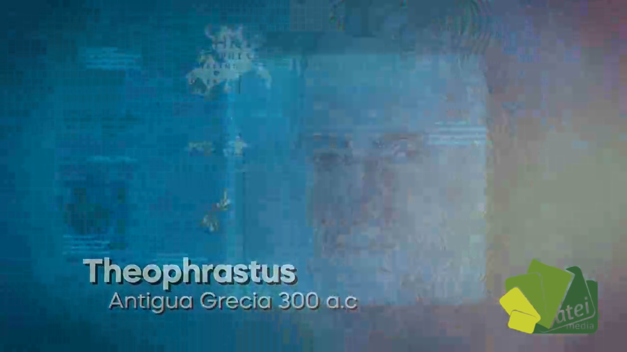 CAPITULO 1 ORQUÍDEAS BLOQUE 2