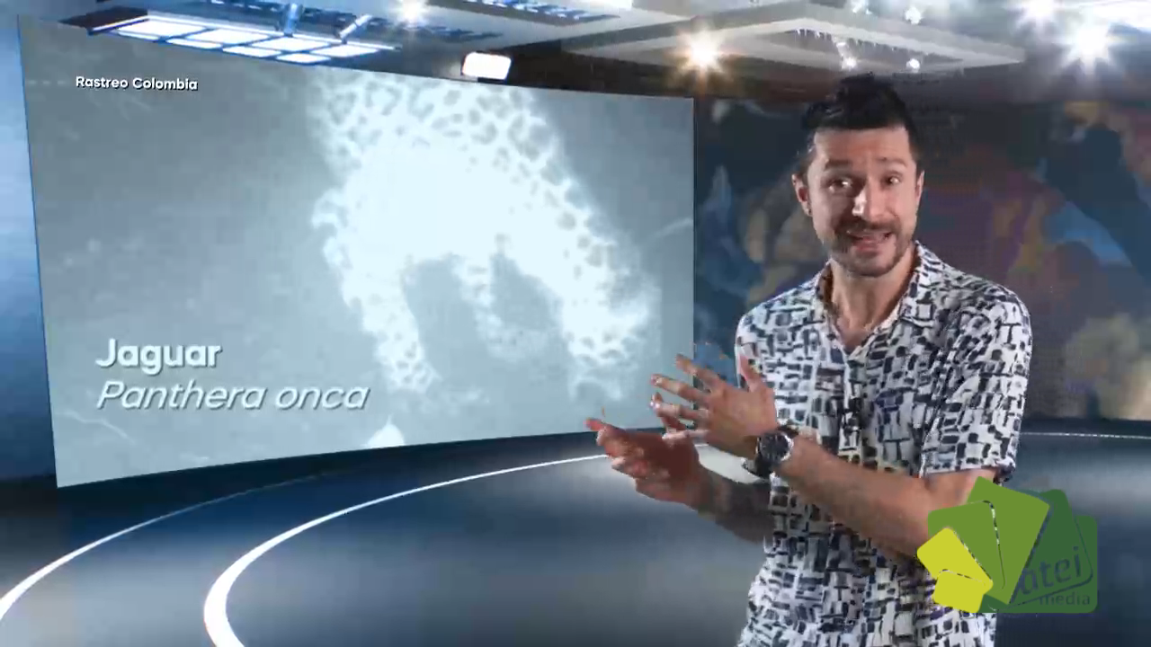 CAPITULO 4  FAUNA SILVESTRE - BLOQUE 3