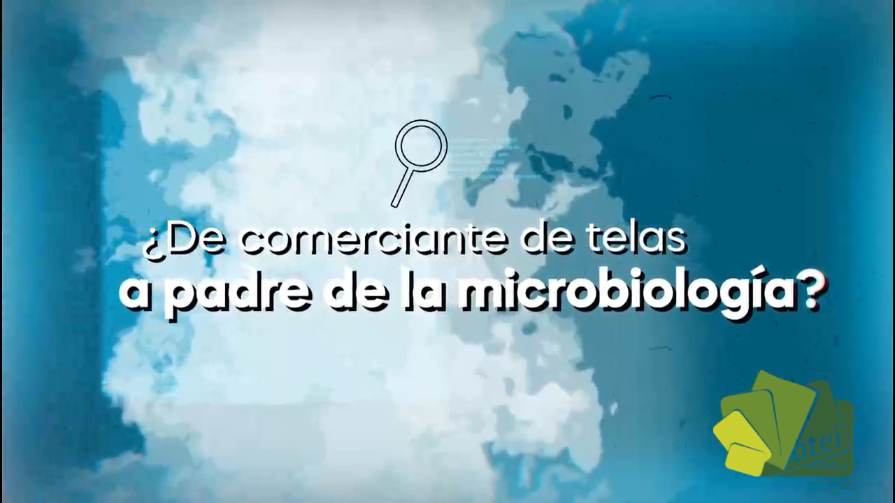 CAPITULO 5  MICROORGANISMOS - BLOQUE 2
