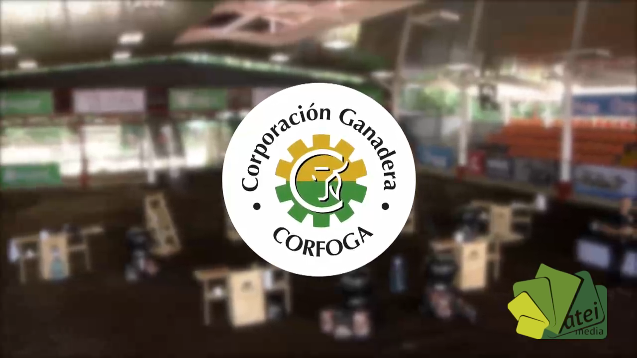 PG-CARNE Y FUEGO-C01-B02