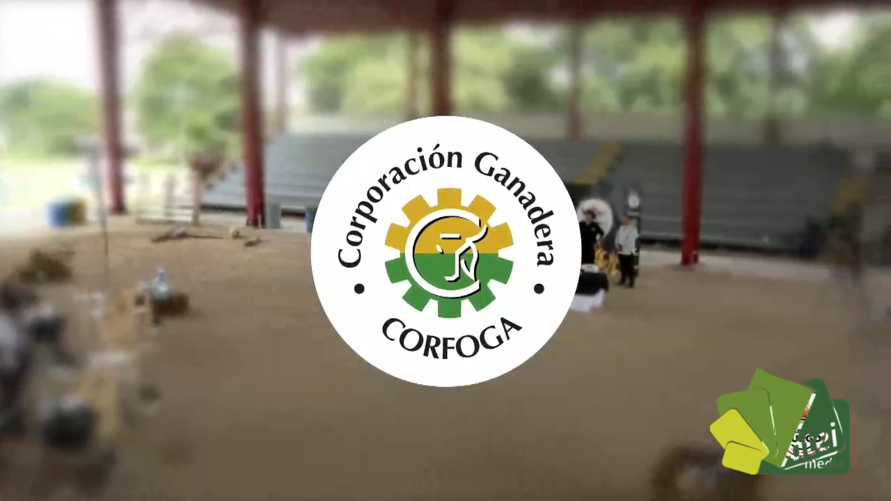 PG-CARNE Y FUEGO-C02-B02