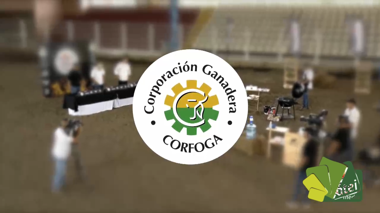 PG-CARNE Y FUEGO-C03-B02