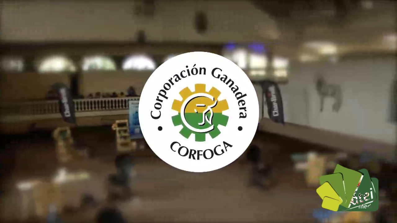 PG-CARNE Y FUEGO-C04-B02