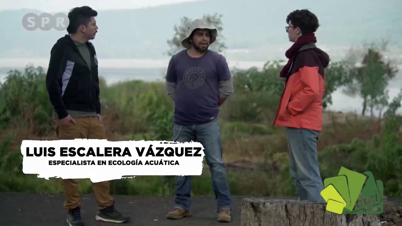 Bioguardianes