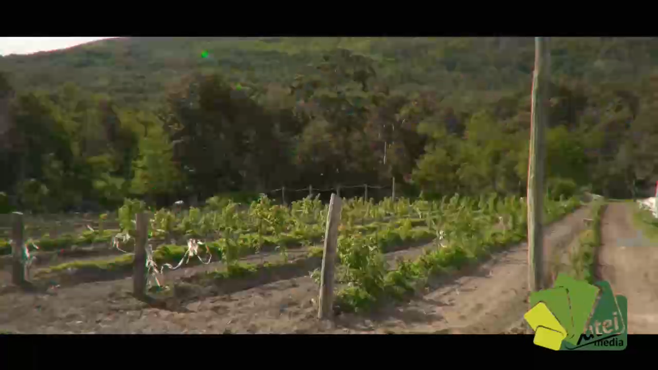 pgm_oficios_en_el_fin_del_mundo_eps010_horticultura_t01_bq02