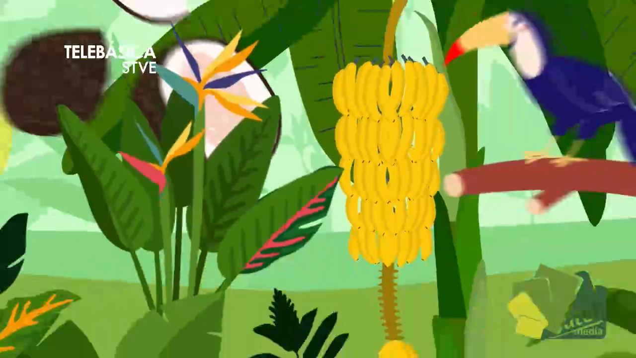 Documental: Mosquitia. Puerto Lempira