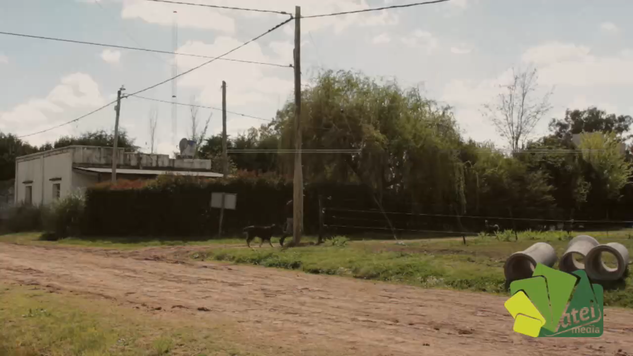 Trabajo de campo