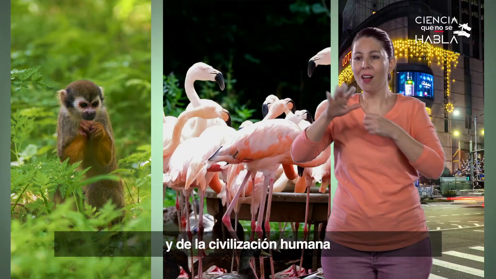 Ciencia que no se habla