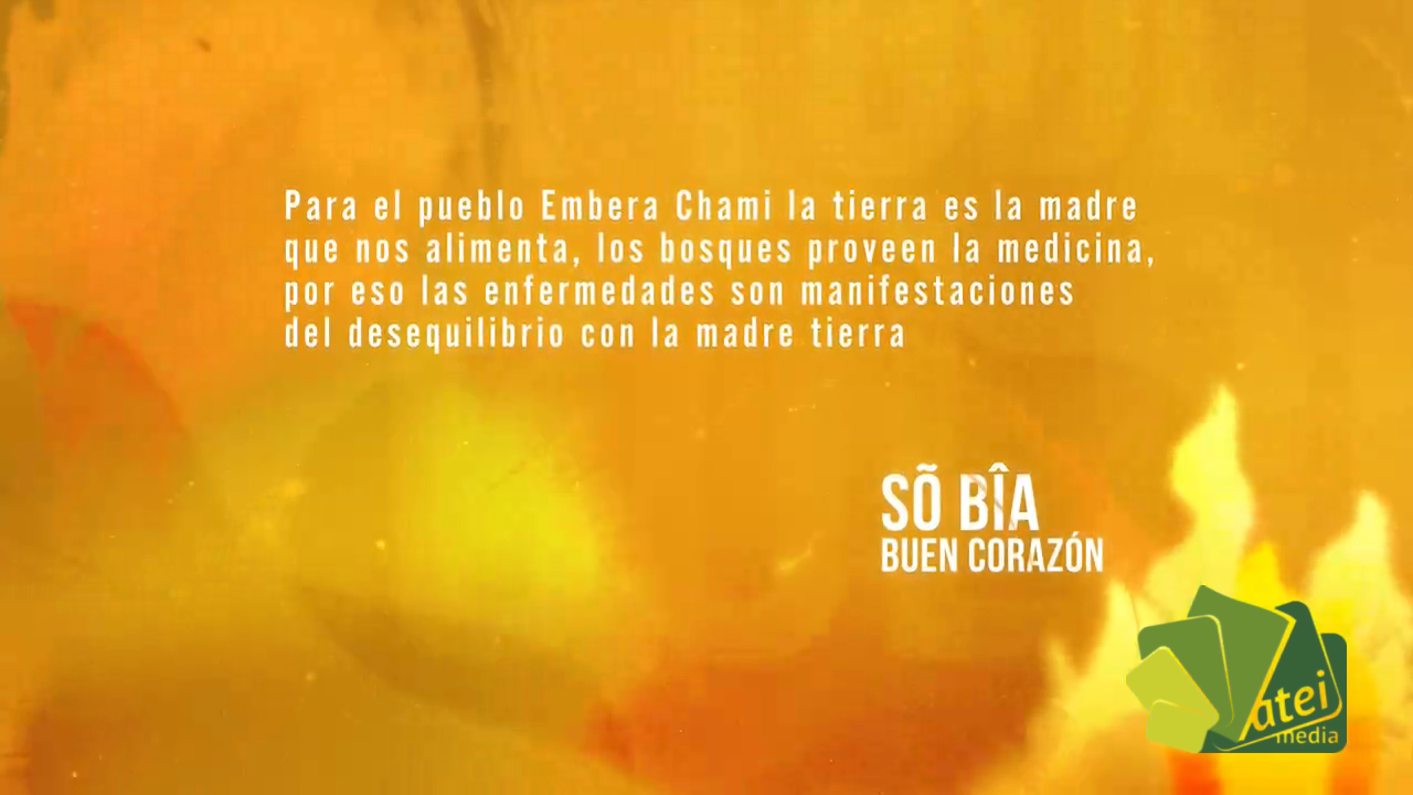 A TODO COLOR - SO BIA  CAPITULO 17  TAITA - RECRATOD001702 - BLOQUE 2-028