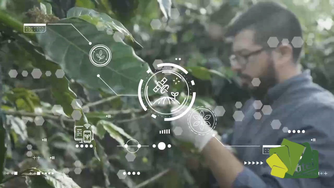ESTRATEGIAS DE SOSTENIBILIDAD - TOLIMA