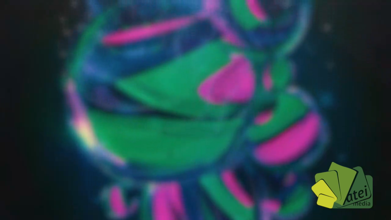 SUMATV_ACCESONORO_T1_E03_X_ZAIRAGO