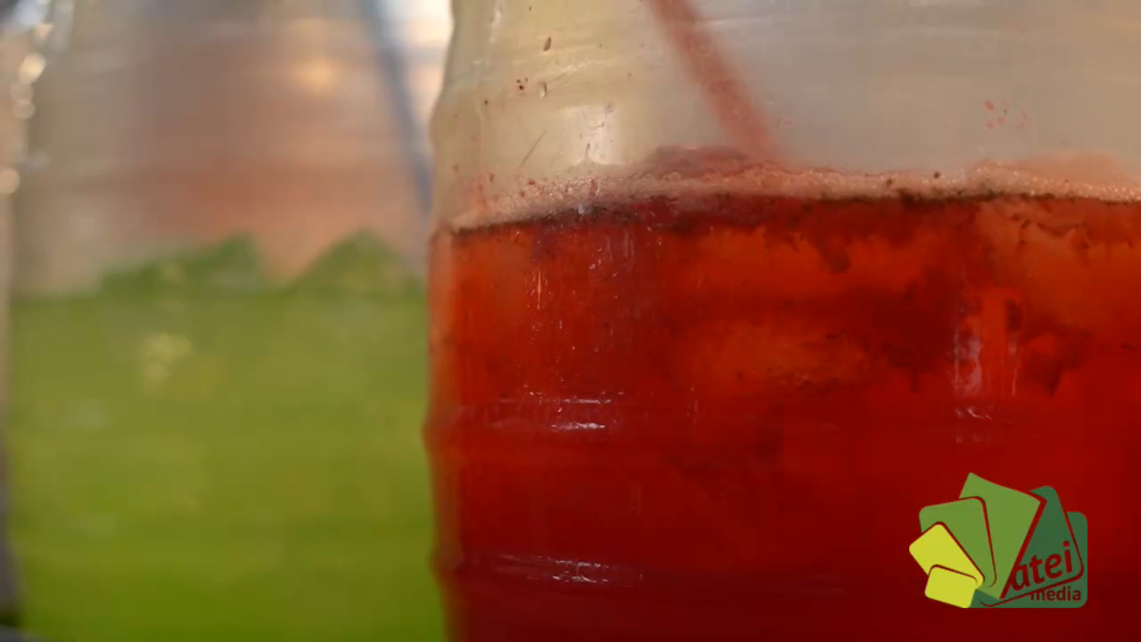 vidas&bebidas1xcebadina_b3
