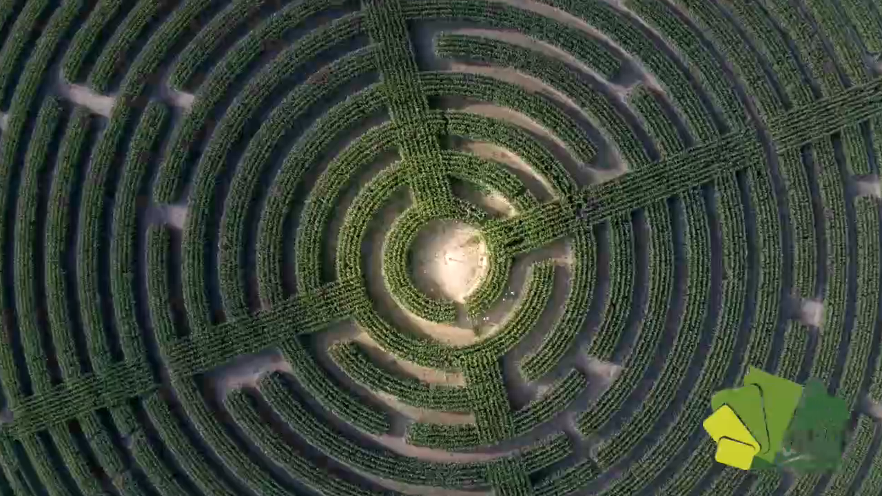 6 Master La mal querida quimica  Universum