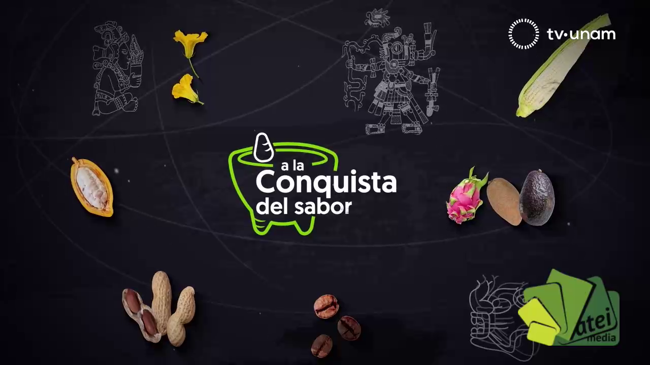 A la conquista del sabor T3