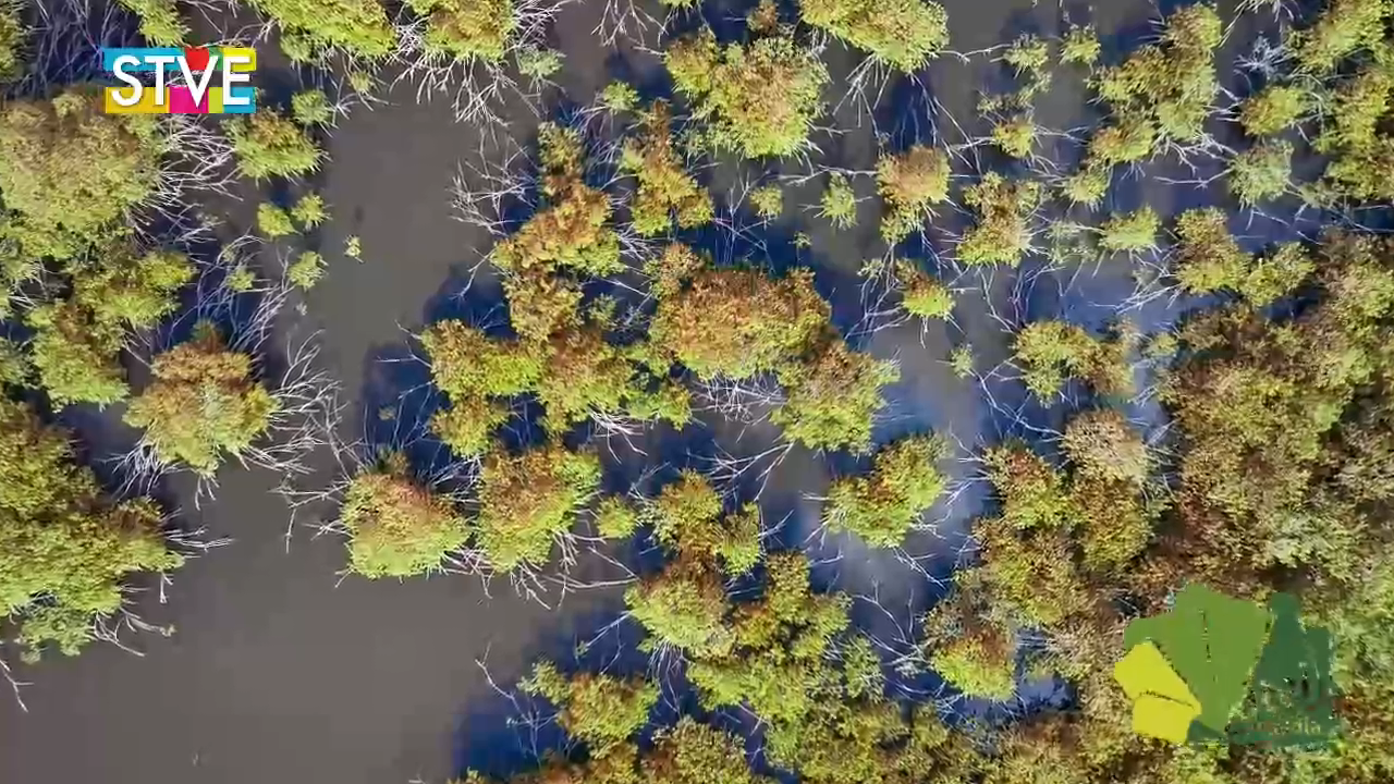 Documental: Siksa Tigni, Dos Bocas