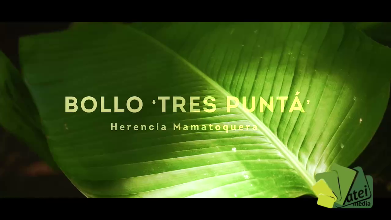 Documental Bollo Tres Puntá 