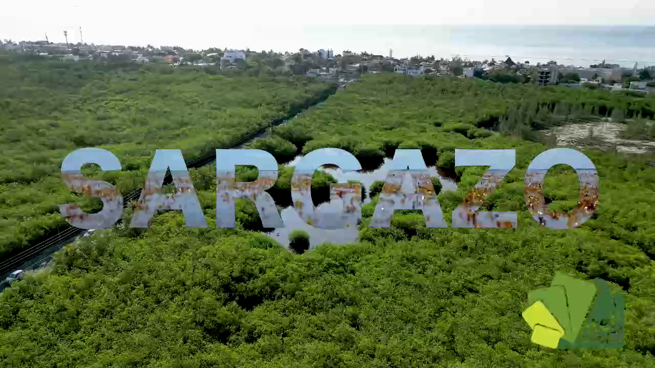 SARGAZO