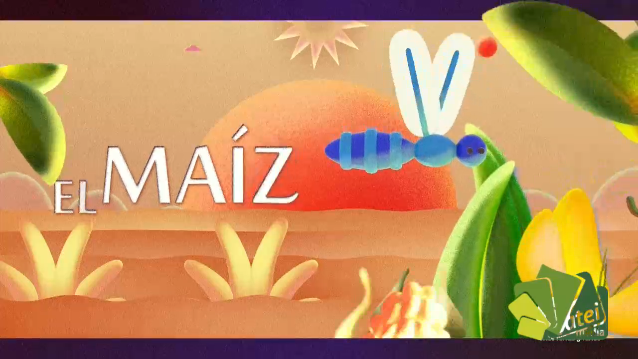 El maíz