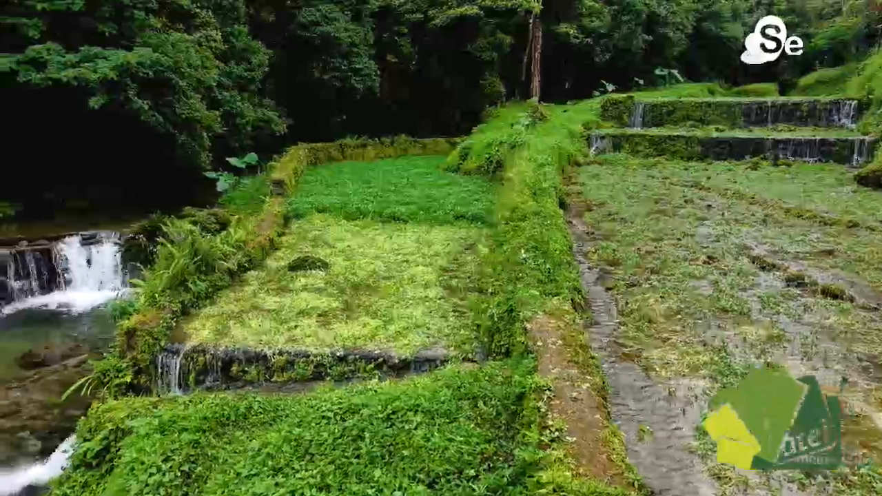 Rio Indio, agua para el pueblo y el Canal de Panamá