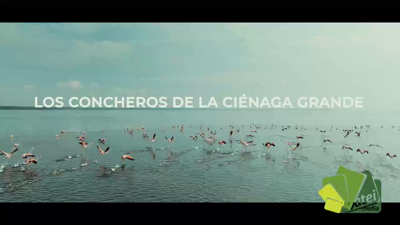 Documental Los Concheros de la Ciénaga Grande 