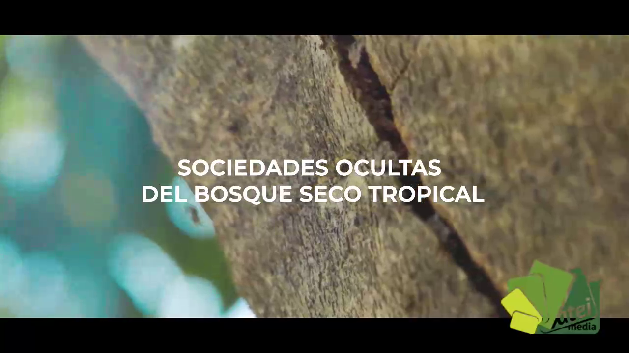 Documental Sociedades Ocultas del Bosque Seco Tropical