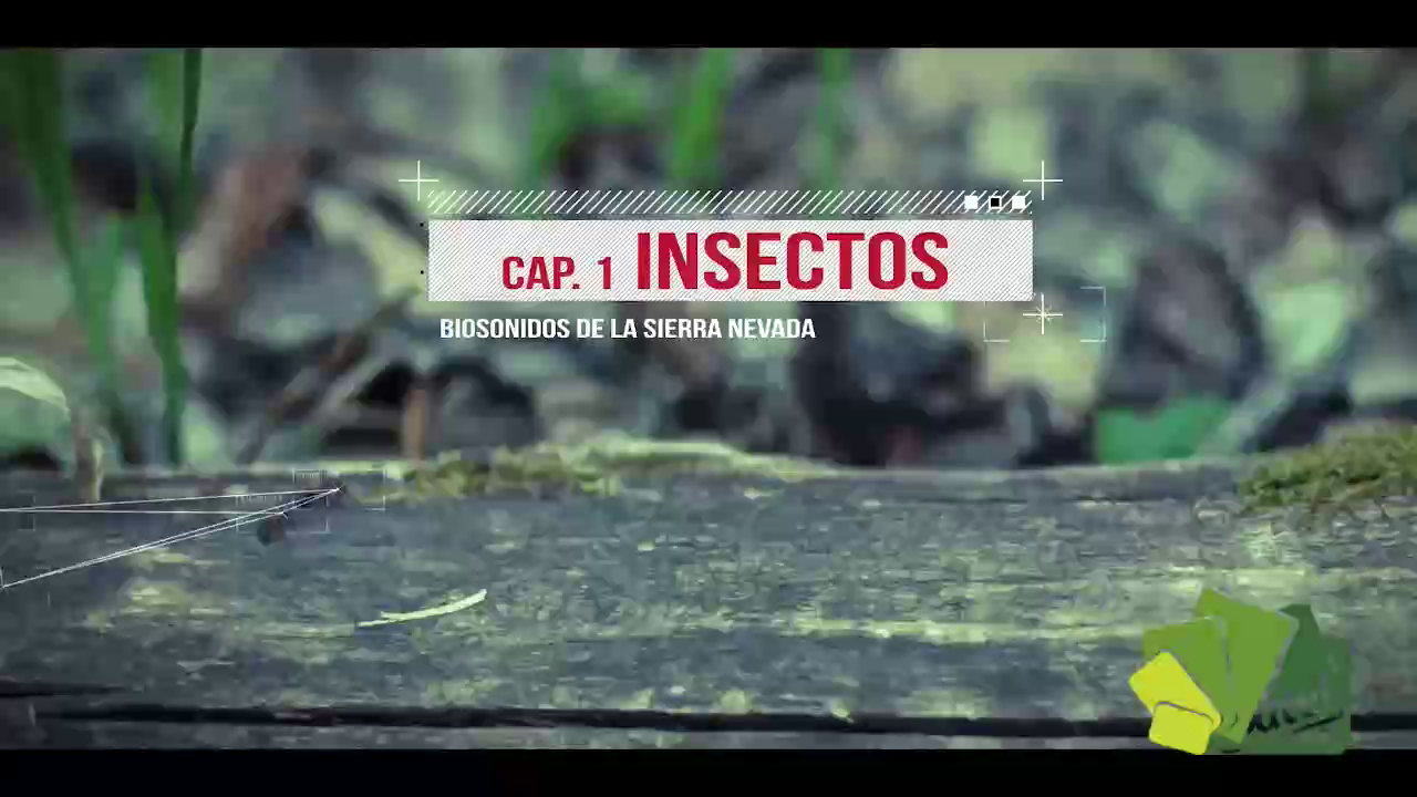 Serie Biosonidos de la Sierra 