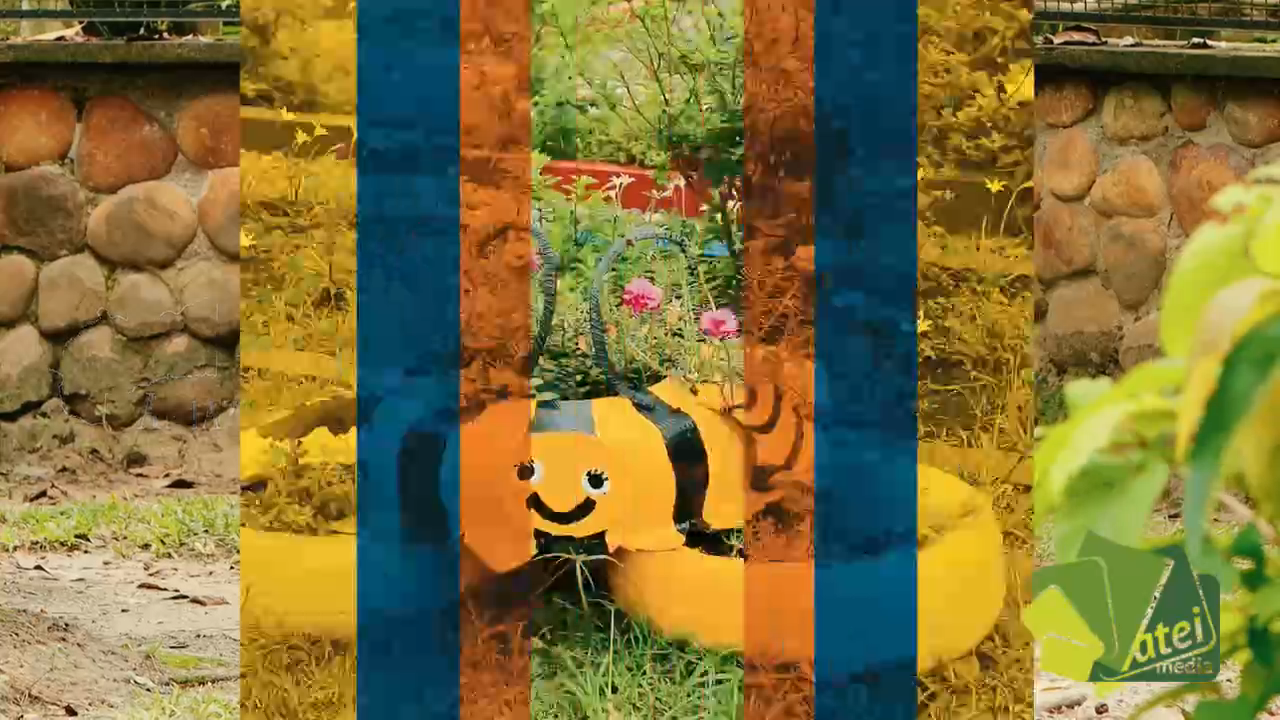 Con Olor a Región Guardianas del territorio, Las abejas meliponas del Meta