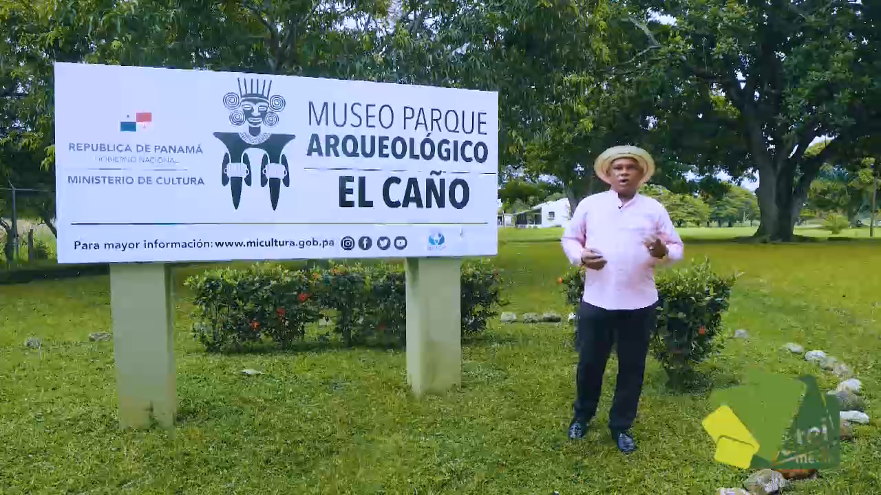 ARTE MUSEO